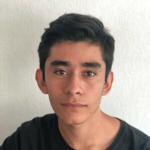 Alan - Autocad tutor - León