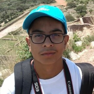 Angel - Computer programming tutor - Zacatecas