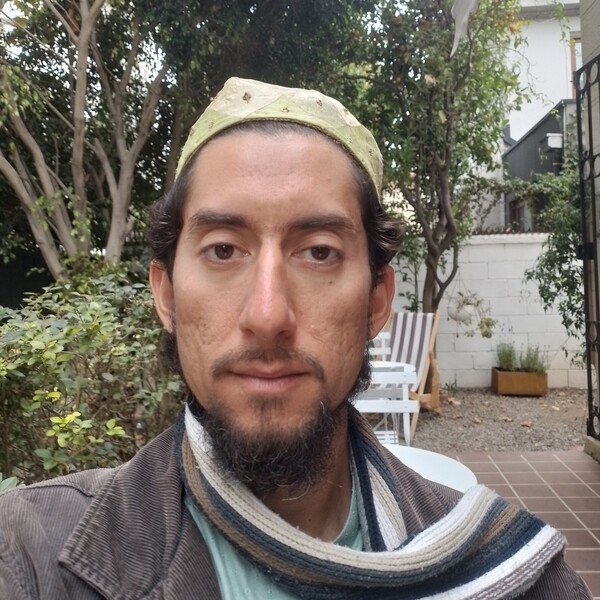 Pavel - Composition teacher - Limache