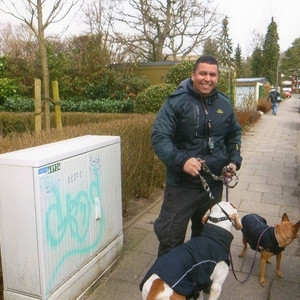 Briceno - Profesor de español para extranjeros - Hamburg