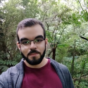 Gustavo - Maths tutor - 