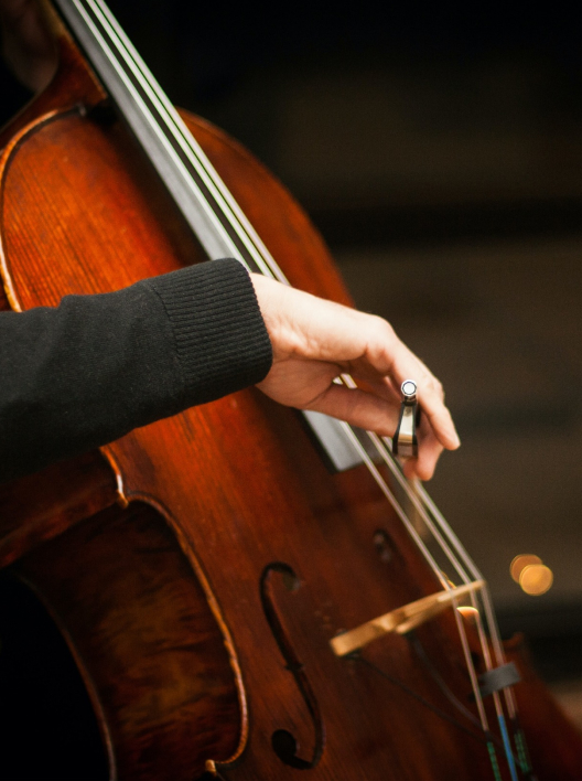 Cello Unterricht private Cello Lehrerinnen ab 22€/h